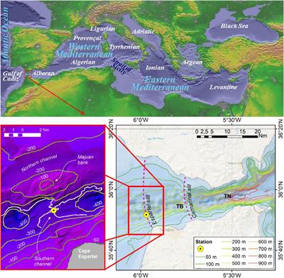 Hotter and Weaker Mediterranean Outflow as a Response to Basin-Wide Alterations